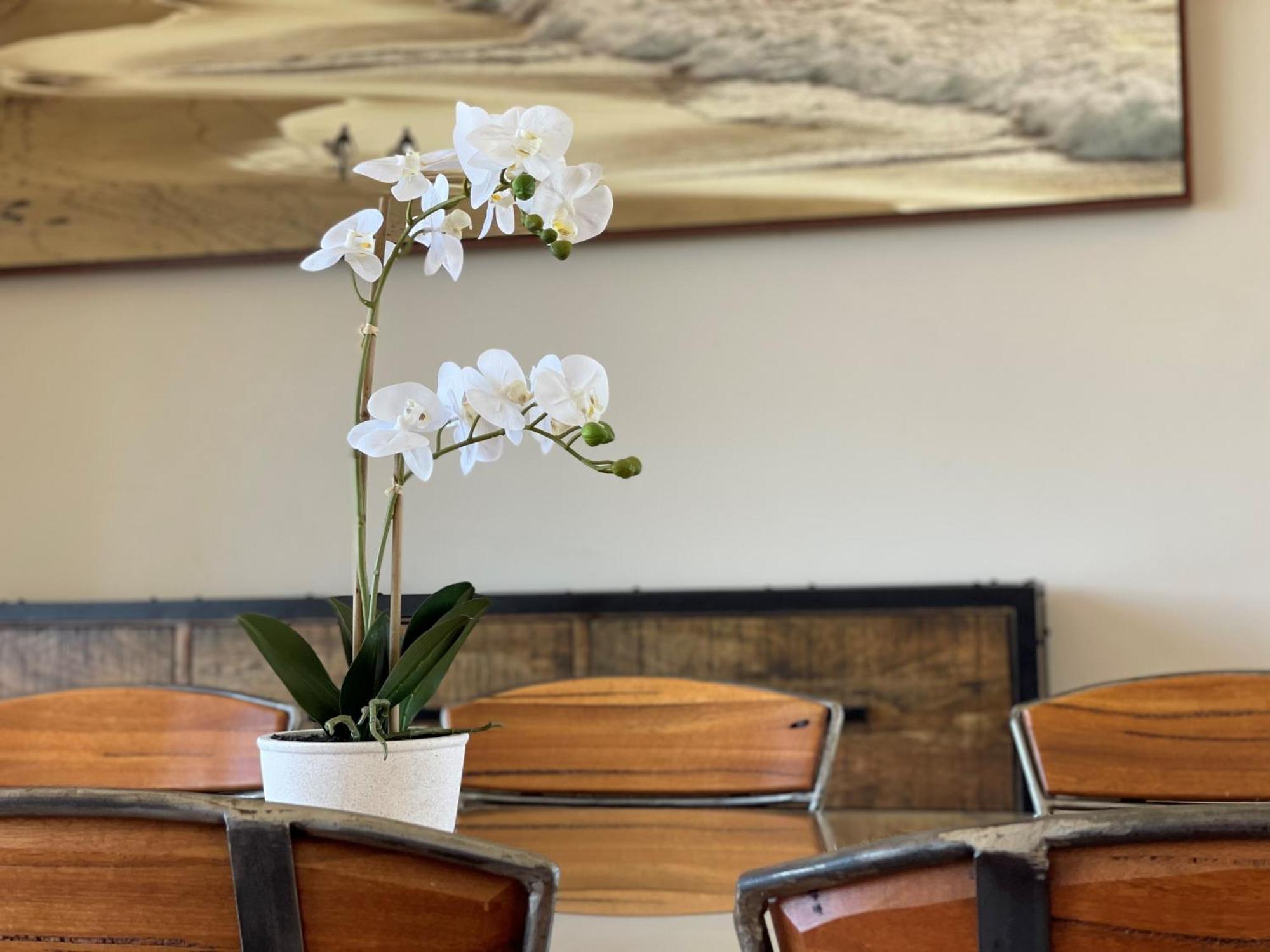 Barwon Heads Resort Room photo